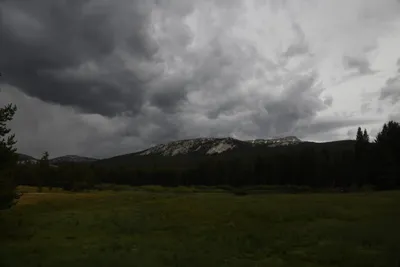 DSC_4474 (Large).JPG